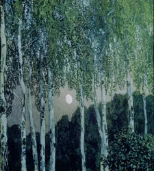 Koivut